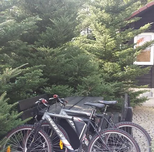 Pod Lasem Homestay *